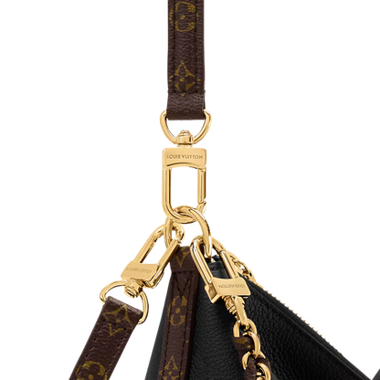 LV Multipass bag